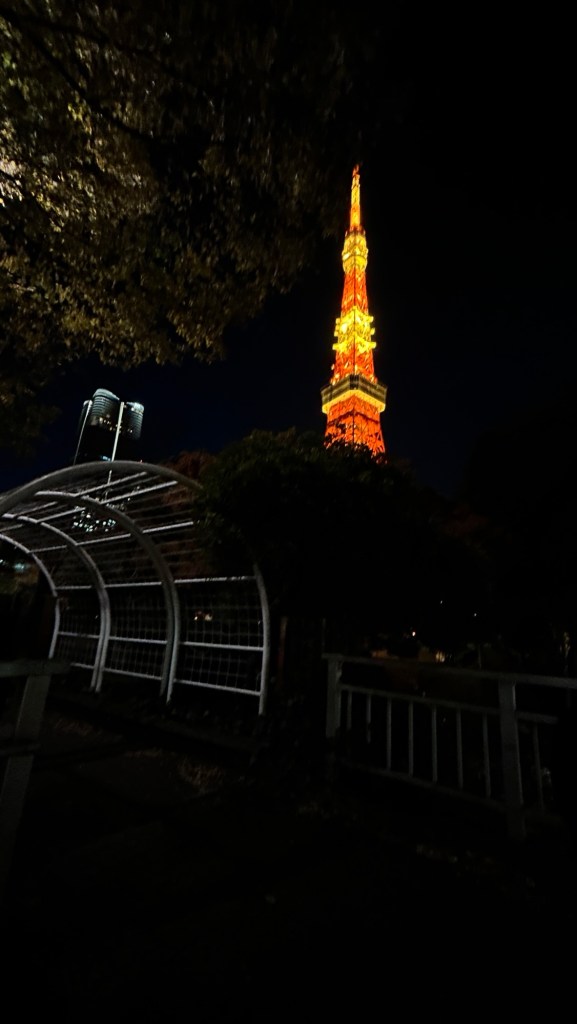 Nunca había ido a Tokio Tower y creo que fue un gran día